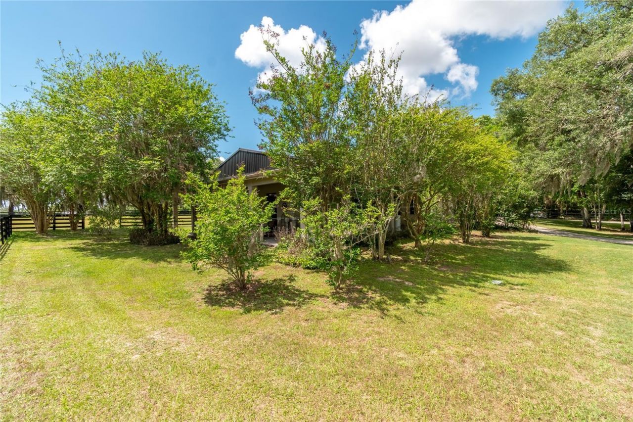 14650 NW 160th Avenue, Williston, FL 32696 Photo