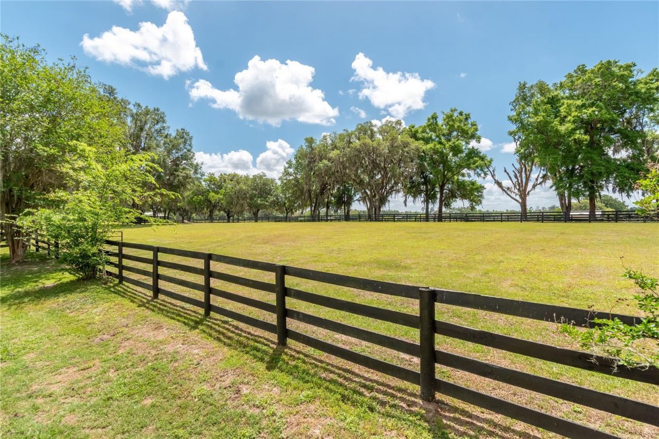 14650 NW 160th Avenue, Williston, FL 32696 Photo