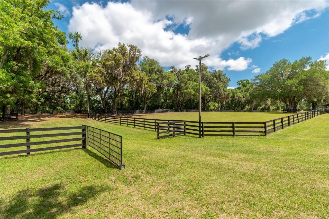 14650 NW 160th Avenue, Williston, FL 32696 Photo