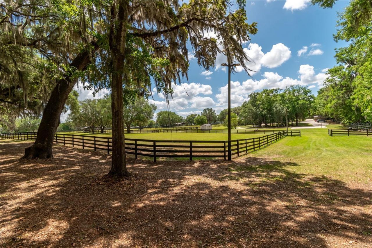 14650 NW 160th Avenue, Williston, FL 32696 Photo