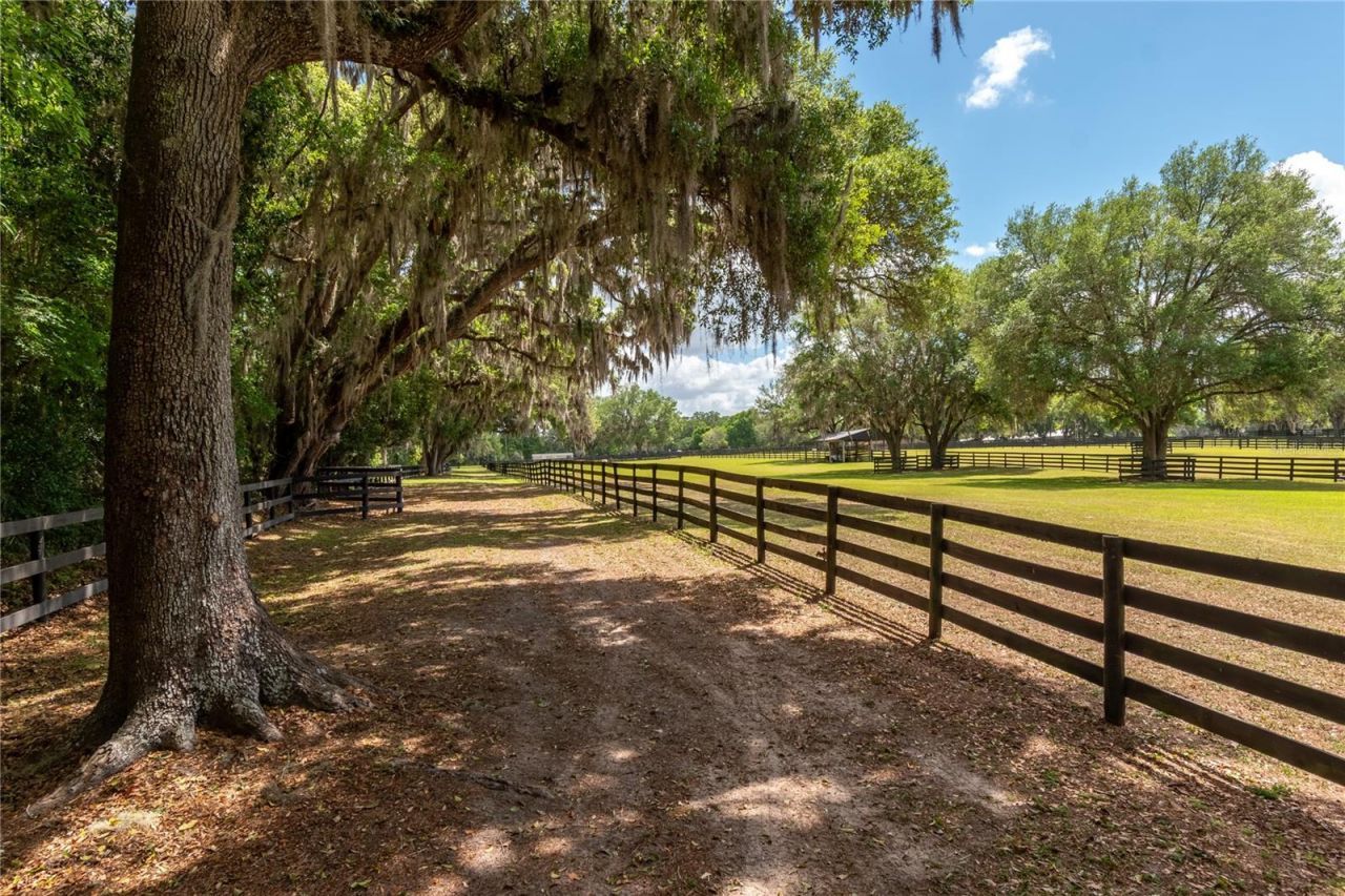 14650 NW 160th Avenue, Williston, FL 32696 Photo