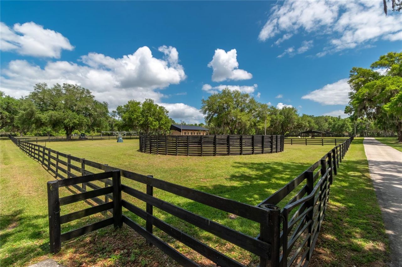 14650 NW 160th Avenue, Williston, FL 32696 Photo