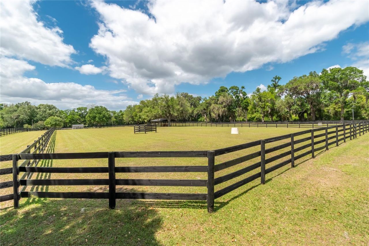 14650 NW 160th Avenue, Williston, FL 32696 Photo