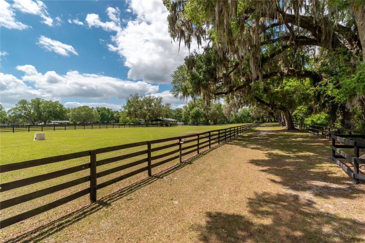 14650 NW 160th Avenue, Williston, FL 32696 Photo