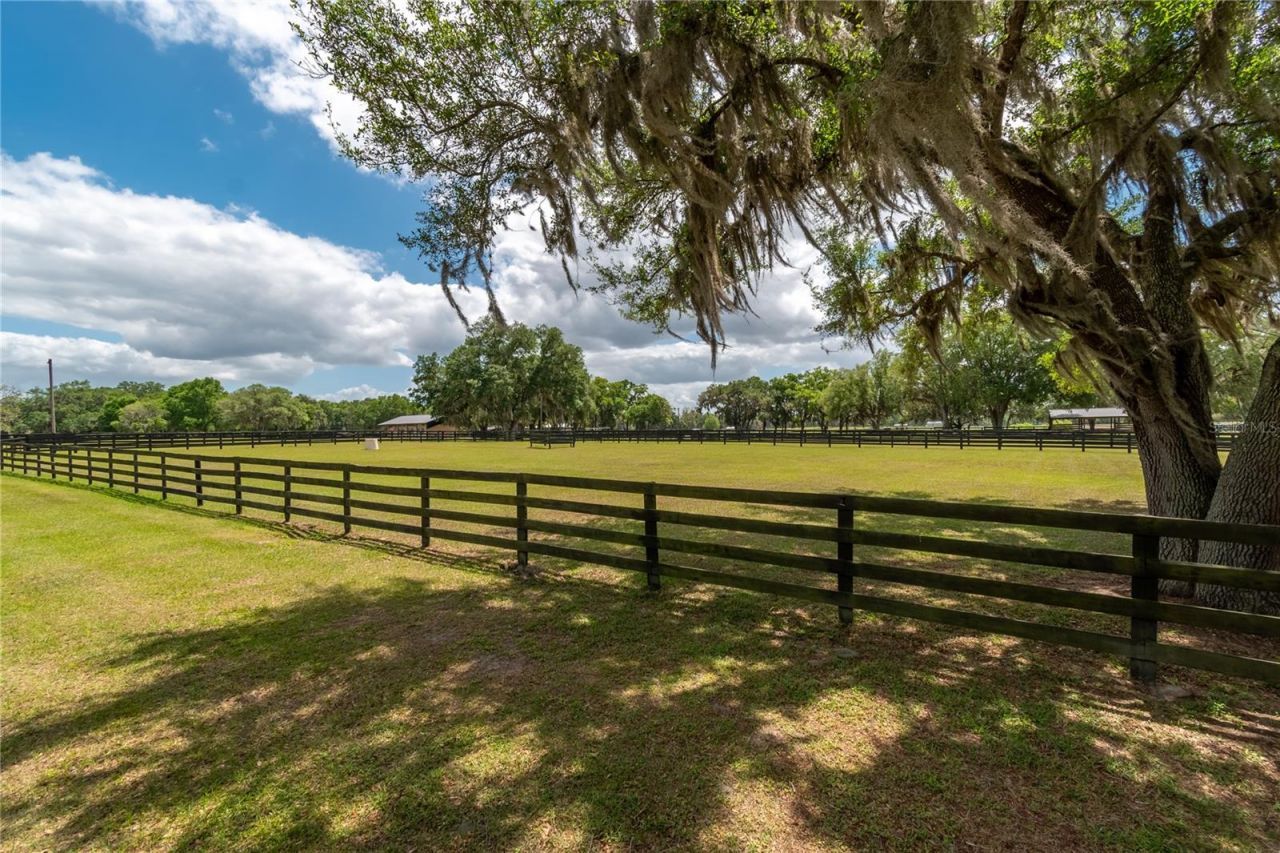 14650 NW 160th Avenue, Williston, FL 32696 Photo