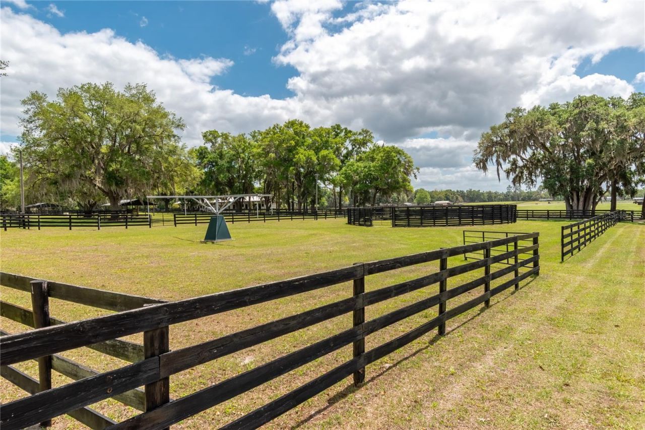 14650 NW 160th Avenue, Williston, FL 32696 Photo