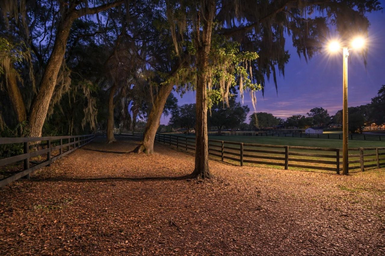 14650 NW 160th Avenue, Williston, FL 32696 Photo