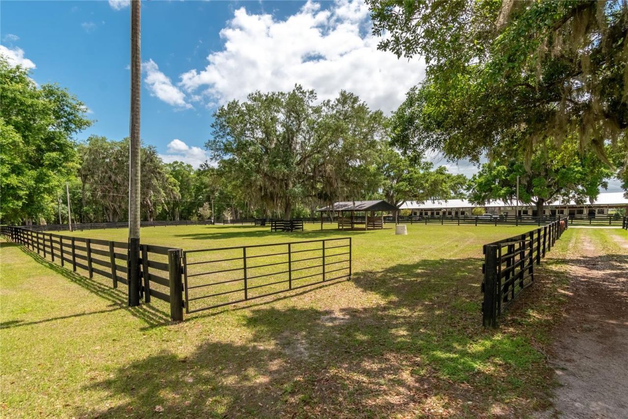 14650 NW 160th Avenue, Williston, FL 32696 Photo