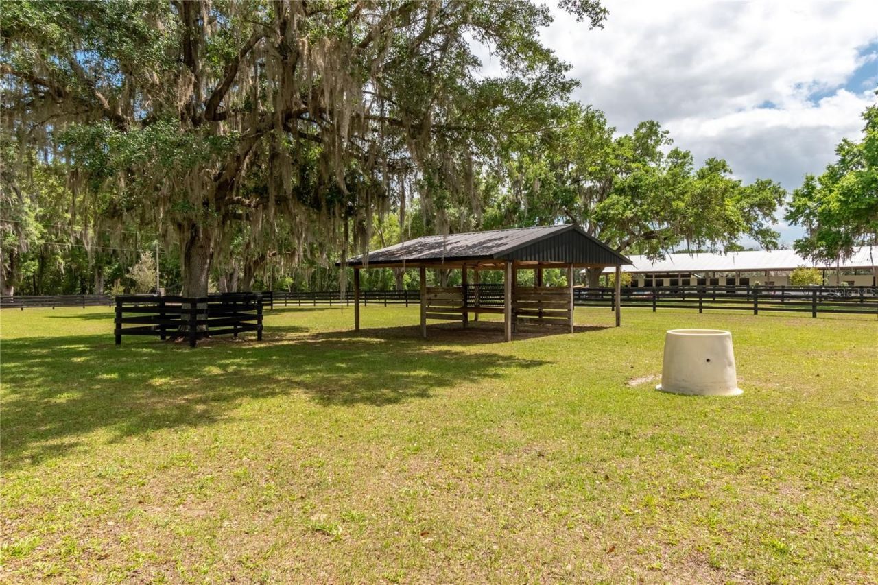 14650 NW 160th Avenue, Williston, FL 32696 Photo