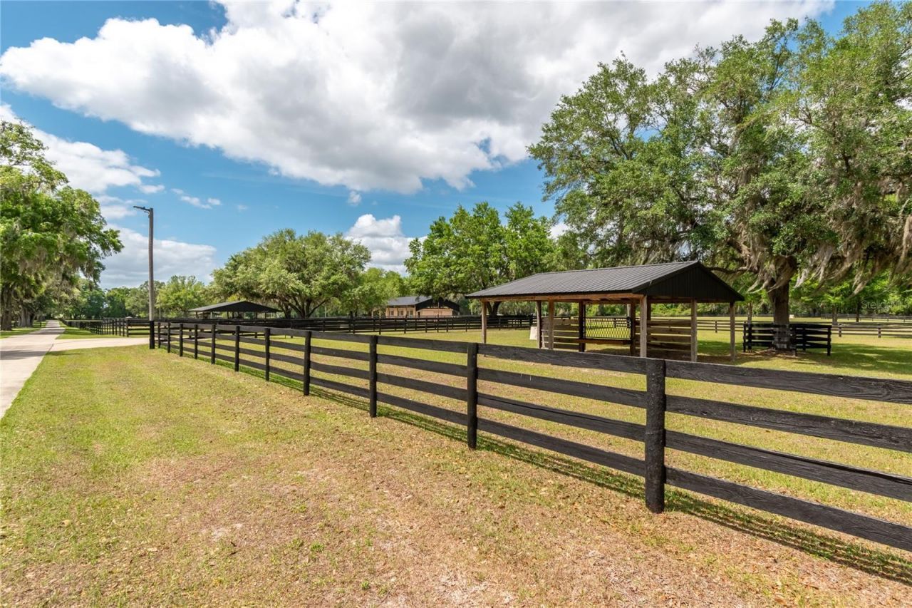 14650 NW 160th Avenue, Williston, FL 32696 Photo