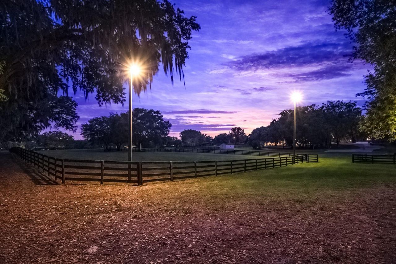 14650 NW 160th Avenue, Williston, FL 32696 Photo