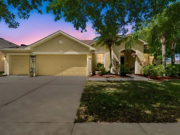 10901 WILDCAT DRIVE , RIVERVIEW, FL 33579