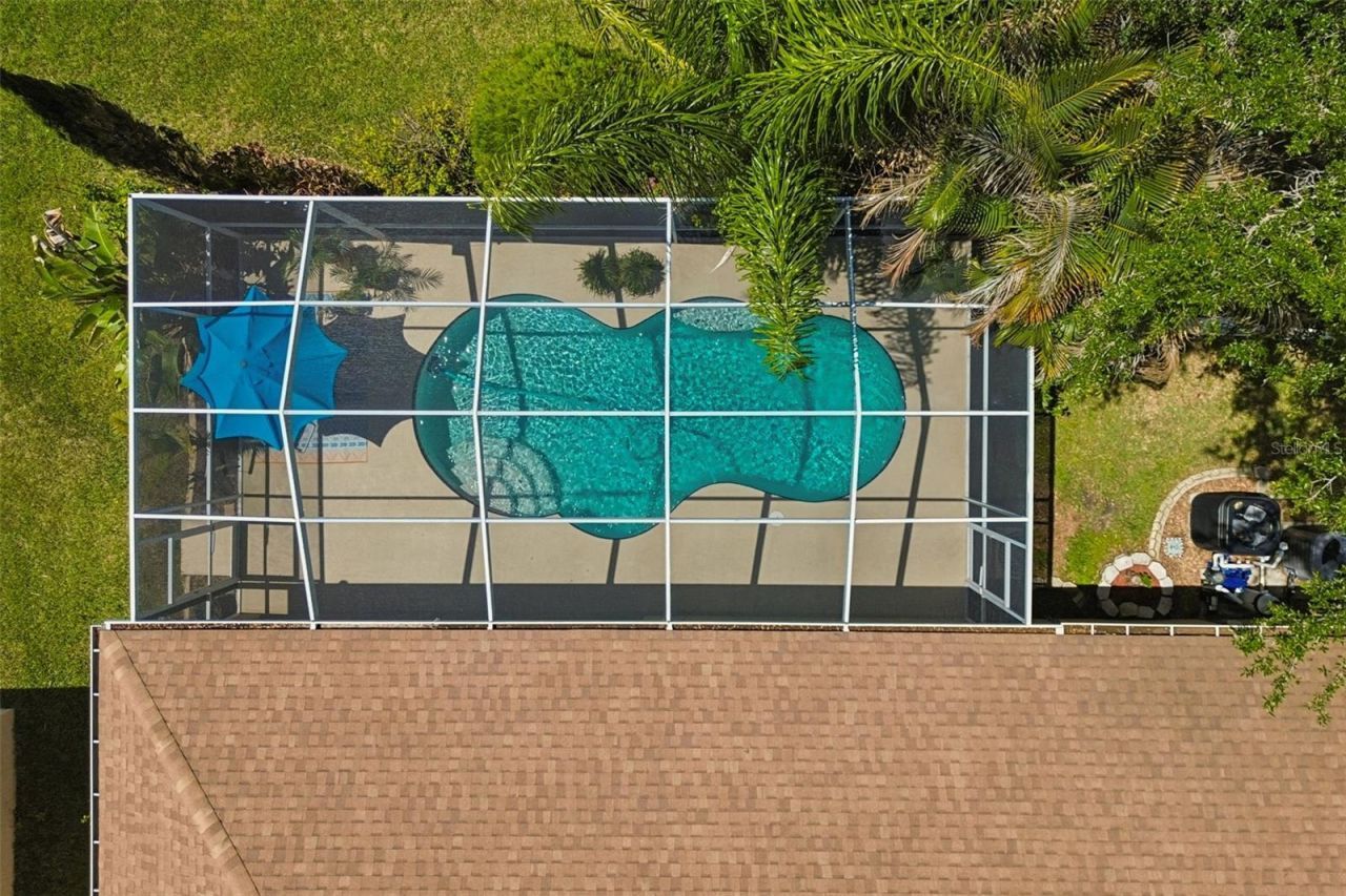 10901 Wildcat Drive, Riverview, FL 33579 Photo