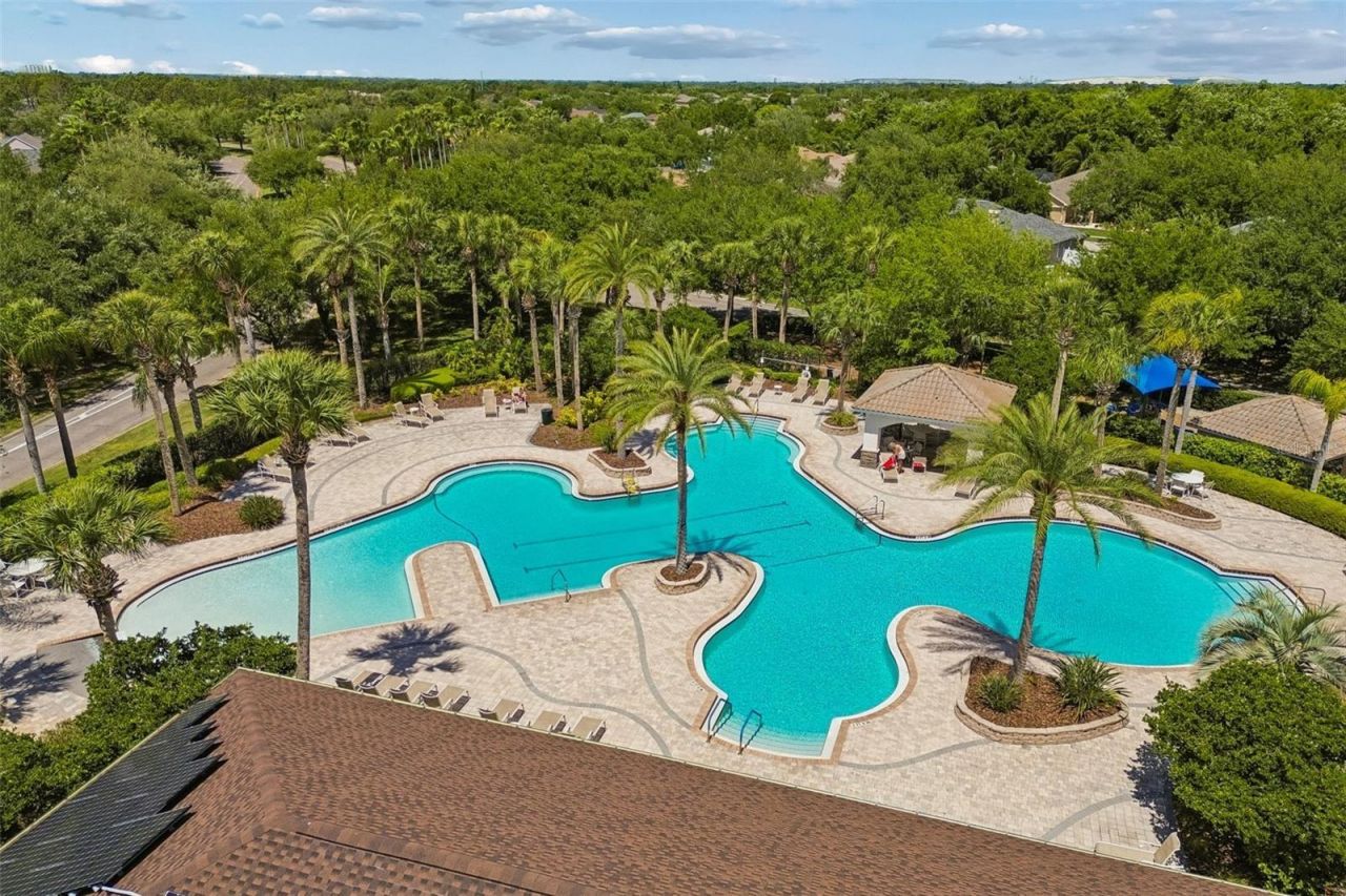 10901 Wildcat Drive, Riverview, FL 33579 Photo