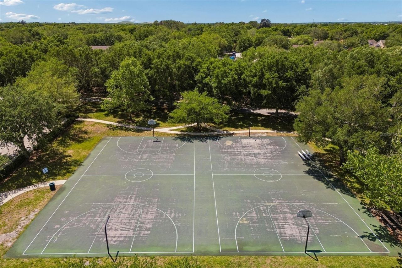 10901 Wildcat Drive, Riverview, FL 33579 Photo