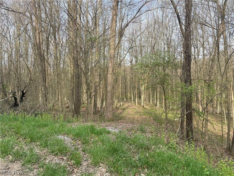 2073 Lilly Road NW, Minerva, OH 44657 Photo 2