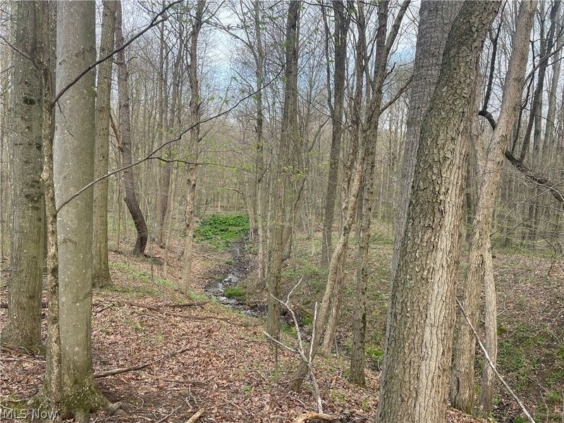 2073 Lilly Road NW, Minerva, OH 44657 Photo 3