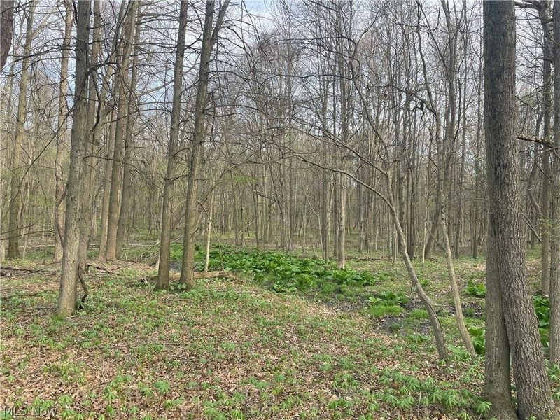 2073 Lilly Road NW, Minerva, OH 44657 Photo 4