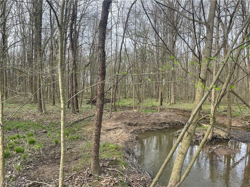 2073 Lilly Road NW, Minerva, OH 44657 Photo 6