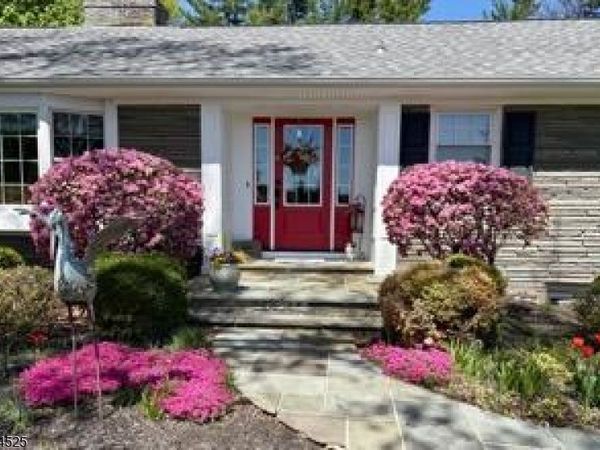 225 Pleasant Hill Rd, Chester, NJ 07836