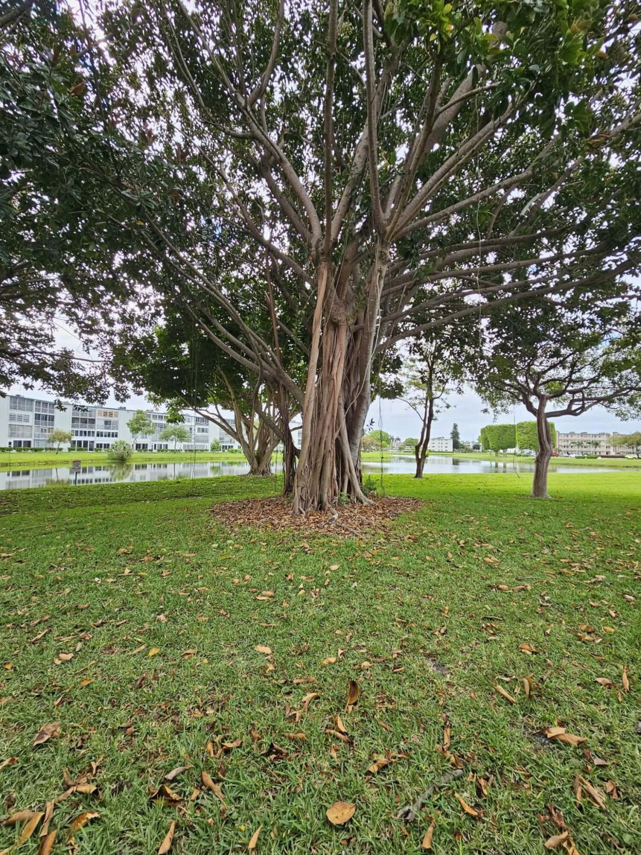 1039 Newcastle C, Boca Raton, FL 33434 Photo