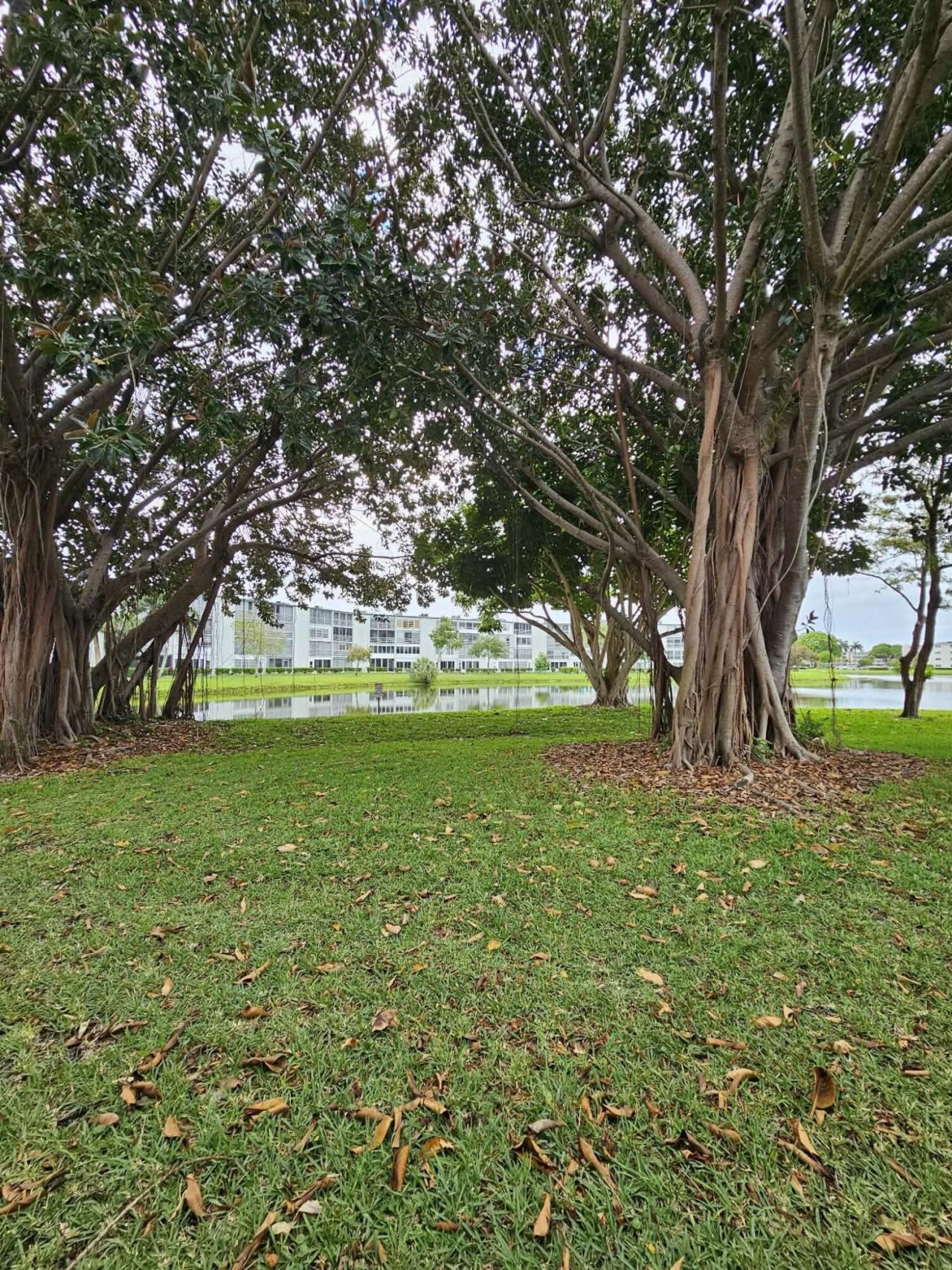 1039 Newcastle C, Boca Raton, FL 33434 Photo