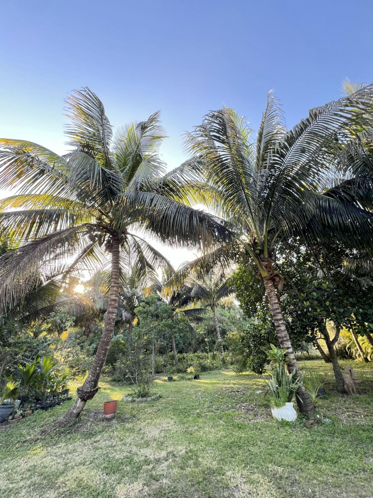 17254 32nd Lane N, The Acreage, FL 33470 Photo