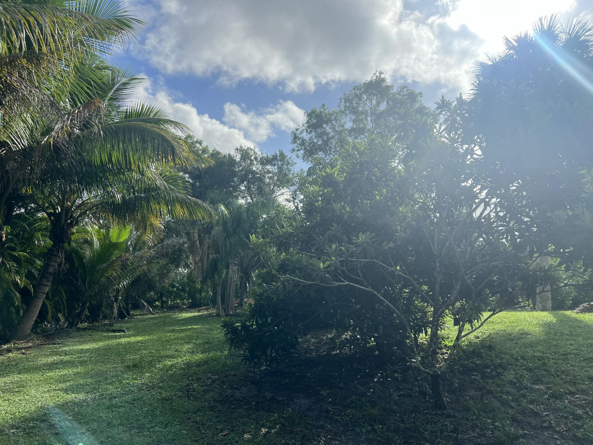 17254 32nd Lane N, The Acreage, FL 33470 Photo