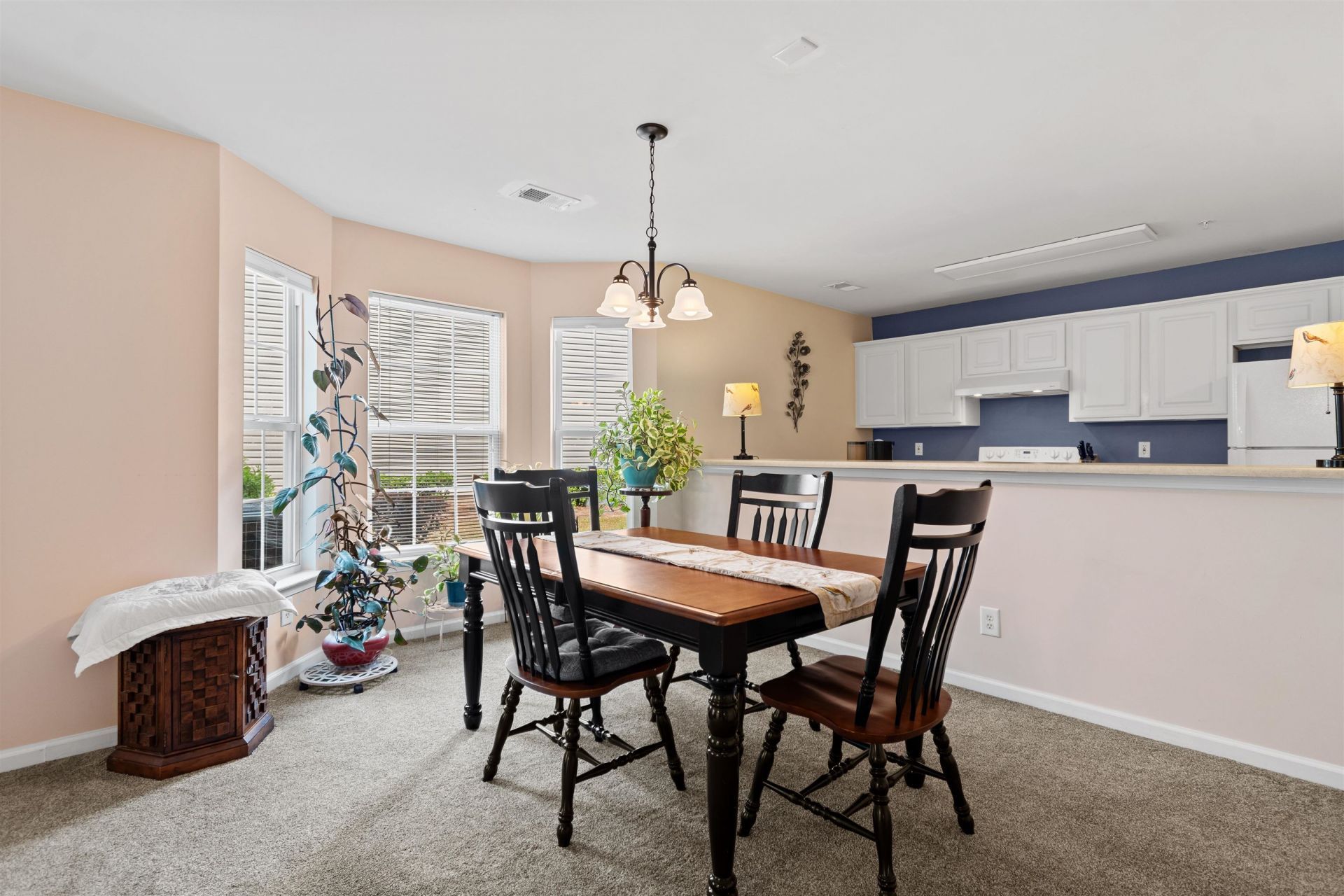 4846 Meadowsweet Dr. Photo 10