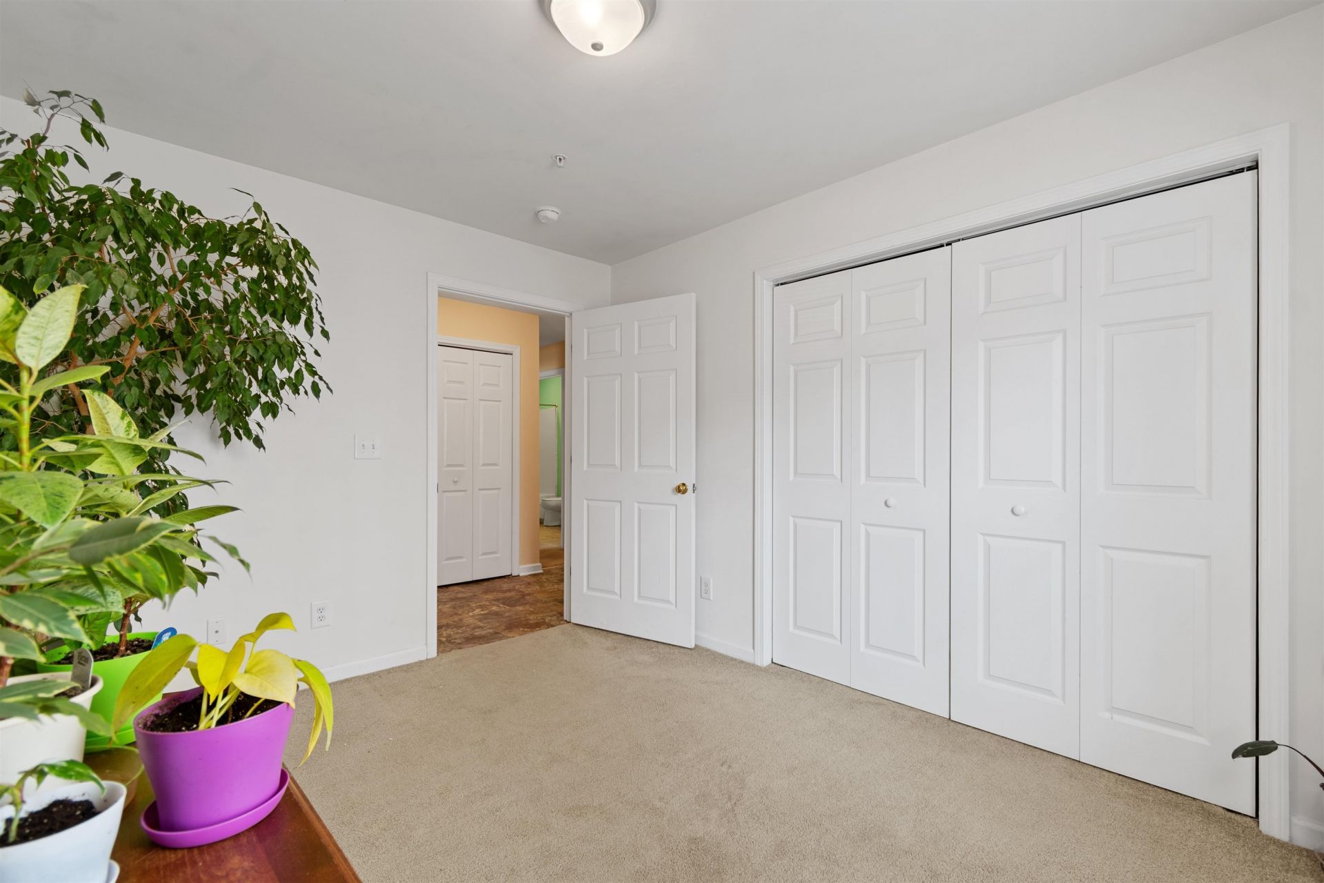 4846 Meadowsweet Dr. Photo 19