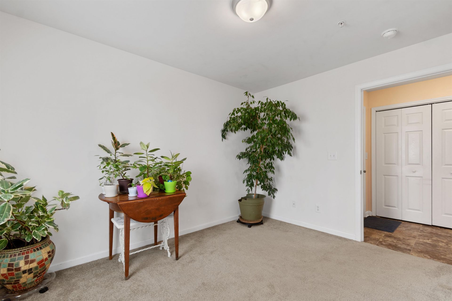 4846 Meadowsweet Dr. Photo 20