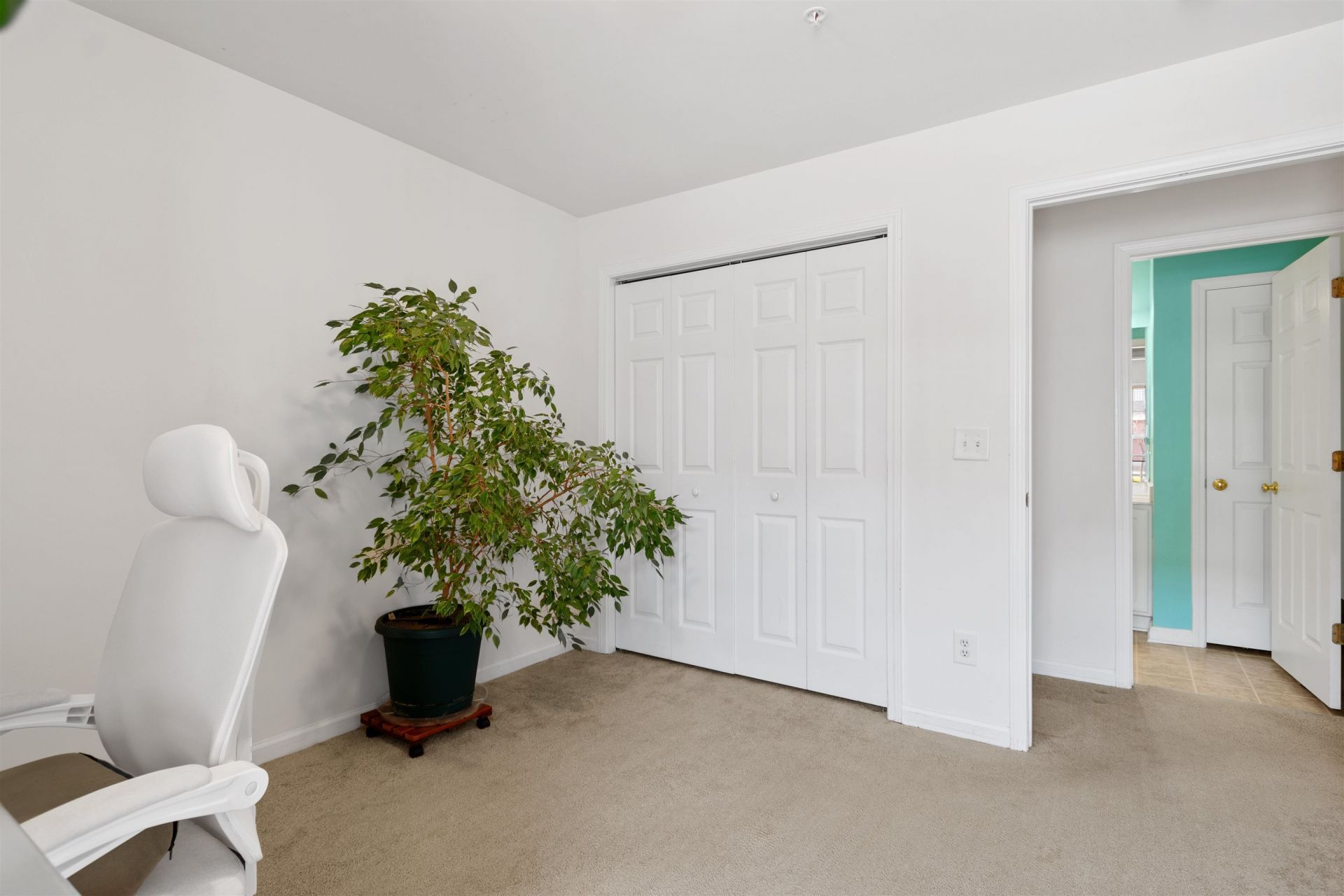 4846 Meadowsweet Dr. Photo 23