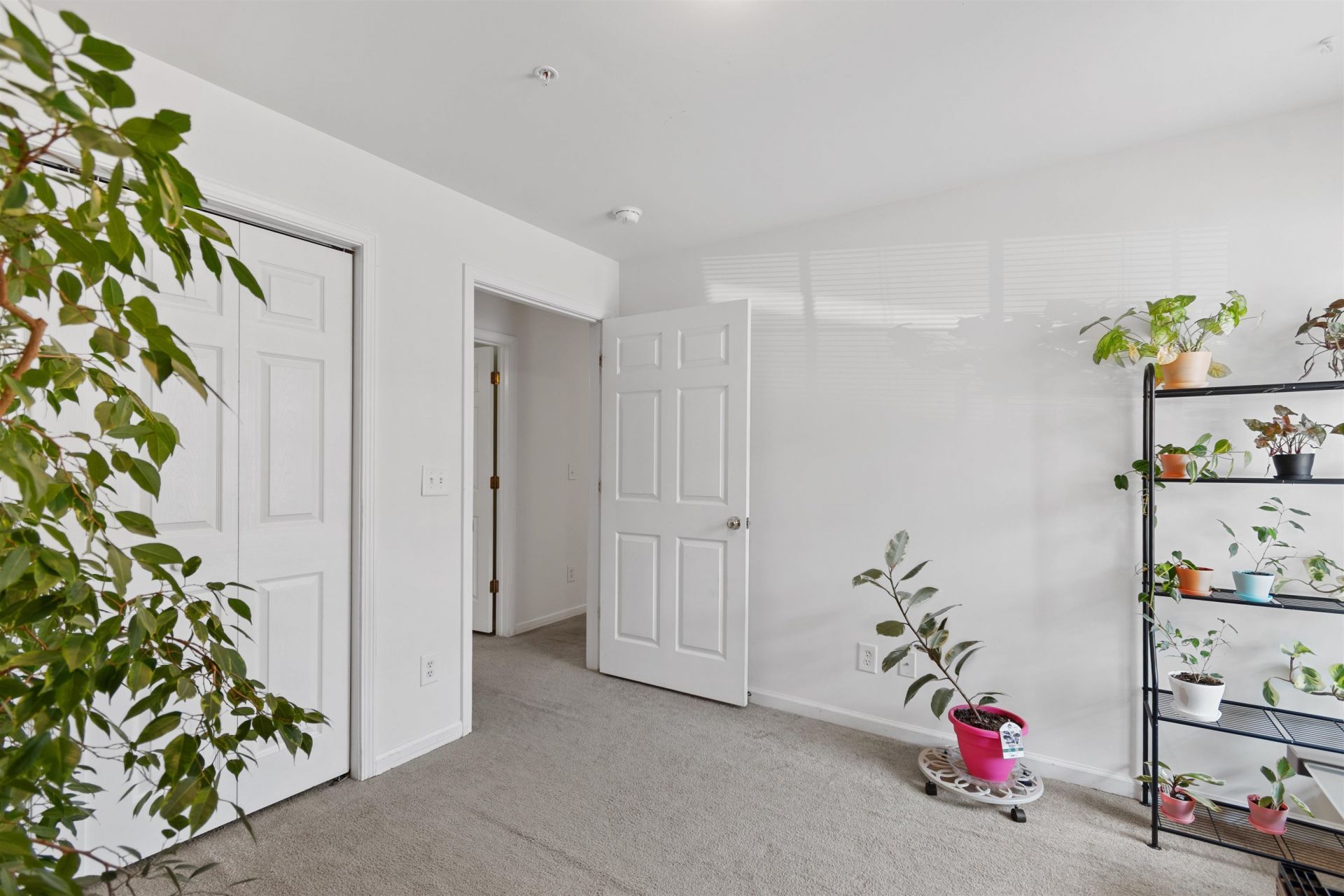 4846 Meadowsweet Dr. Photo 24