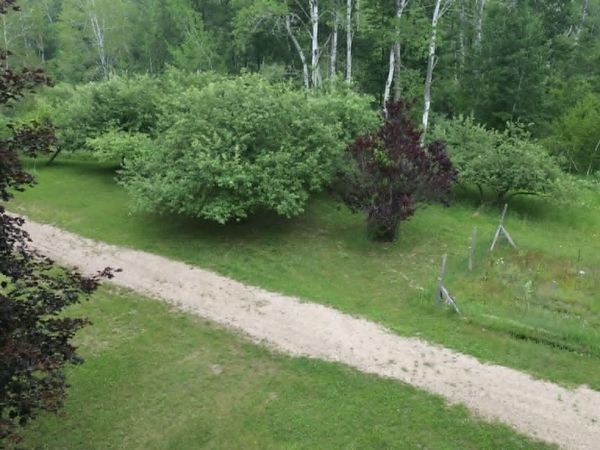 21632 90th Avenue, Evart, MI 49631