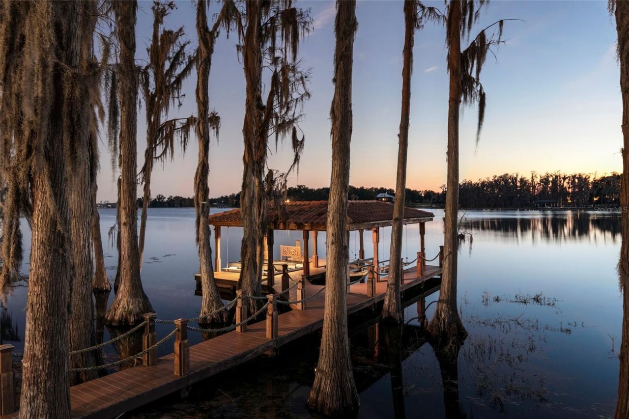 12488 Park Avenue, Windermere, FL 34786 Photo