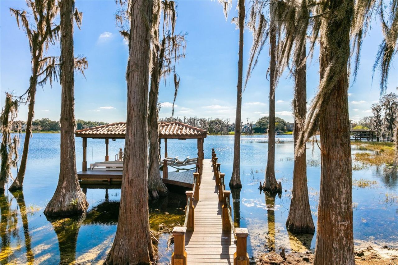 12488 Park Avenue, Windermere, FL 34786 Photo