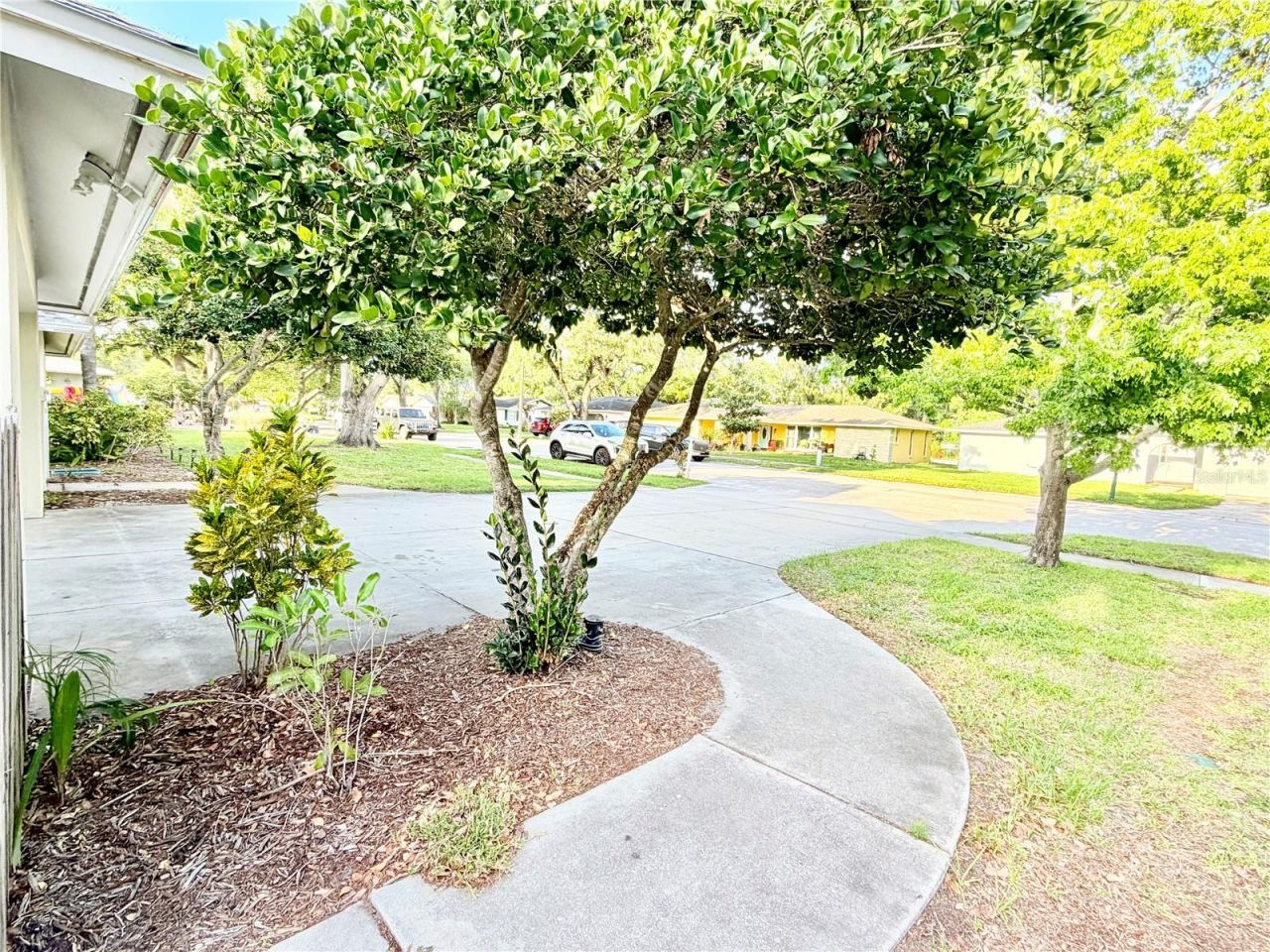 1880 Oak Forest Drive E, Clearwater, FL 33759 Photo