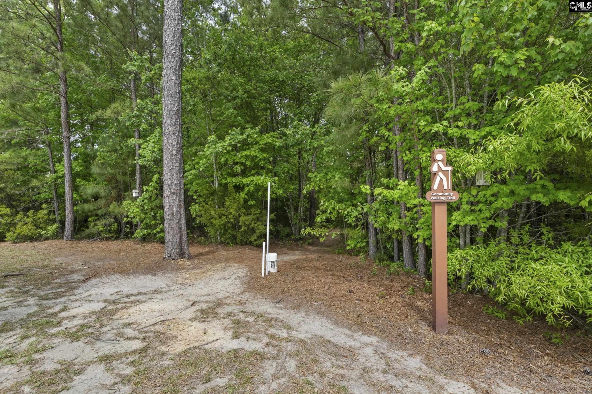 432 Sapphire Lane Photo 42