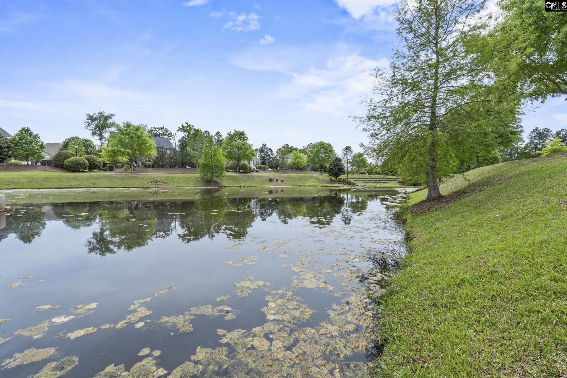 432 Sapphire Lane Photo 44