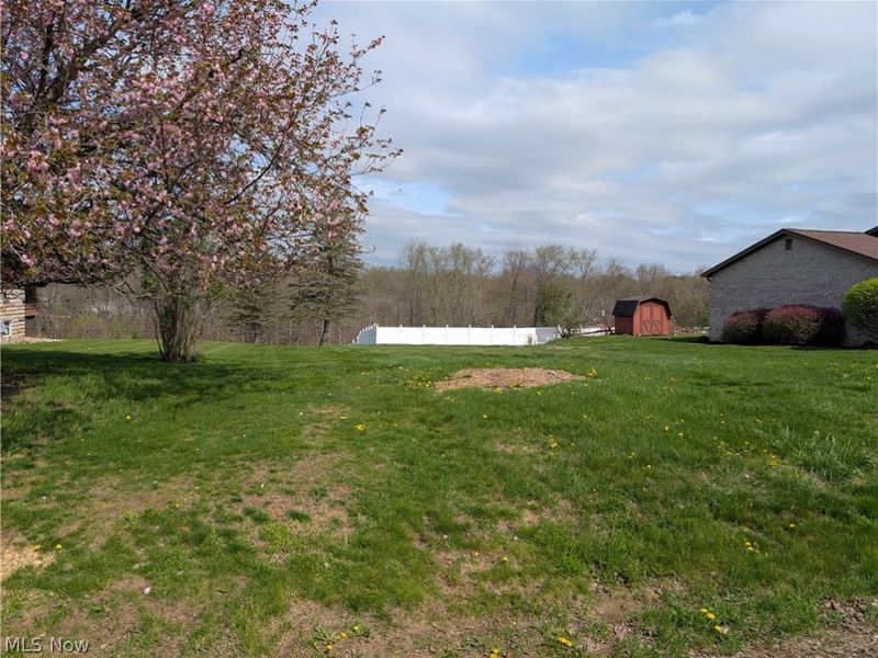 Skyview, Wintersville, OH 43953 Photo 5