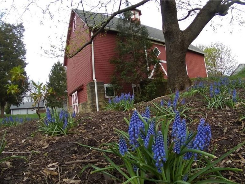 7282 Holzhauer Road, Sagamore Hills, OH 44067 Photo 46