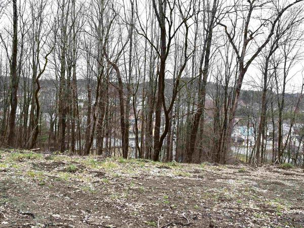 Lot 26 Lafayette Street, Unit 26, St. Johnsbury, VT 05819