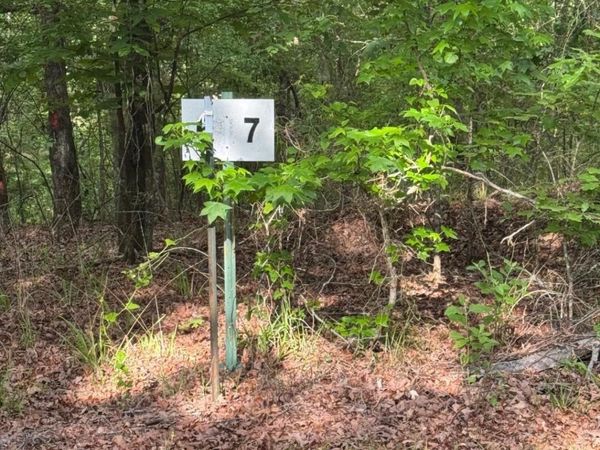 Lot 7 CHALET SYDNEY' J Subdivision , Camden, AR 71701