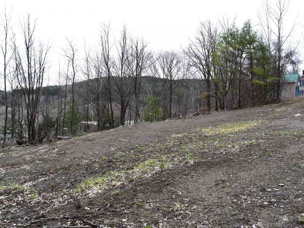 Lot 25 Lafayette Street, Unit 25, St. Johnsbury, VT 05819