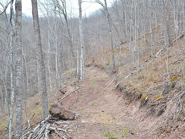 Snake Run Rd, Dawson, WV 24910