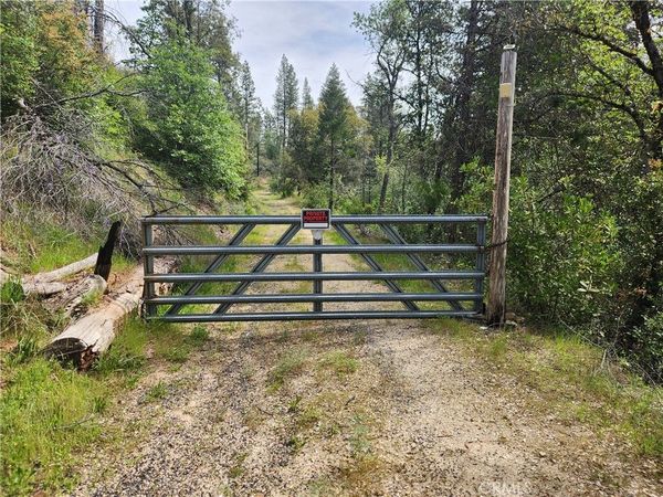 1977 Big Ridge, Berry Creek, CA 95916