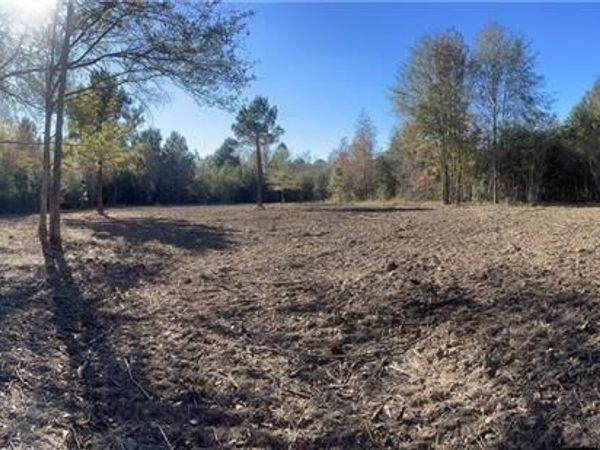 78112 BRAB ALFORD Road, Kentwood, LA 70444