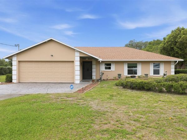 2425 HAWK GRIFFIN ROAD , PLANT CITY, FL 33565