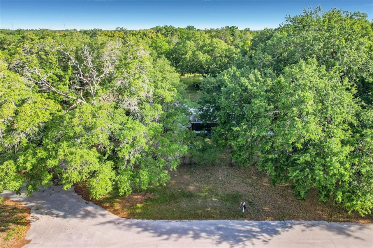 821 Irene Drive, Auburndale, FL 33823 Photo
