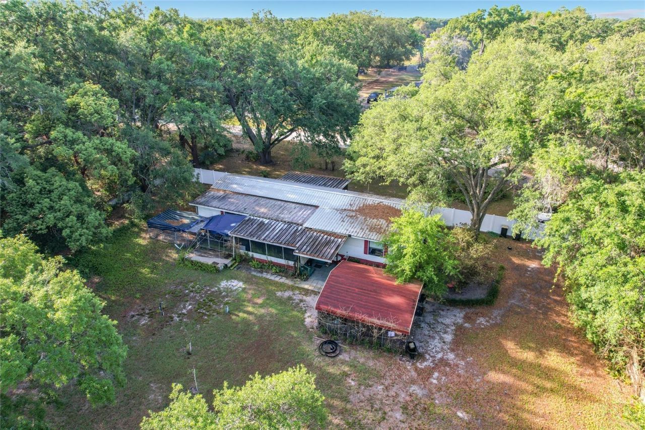 821 Irene Drive, Auburndale, FL 33823 Photo